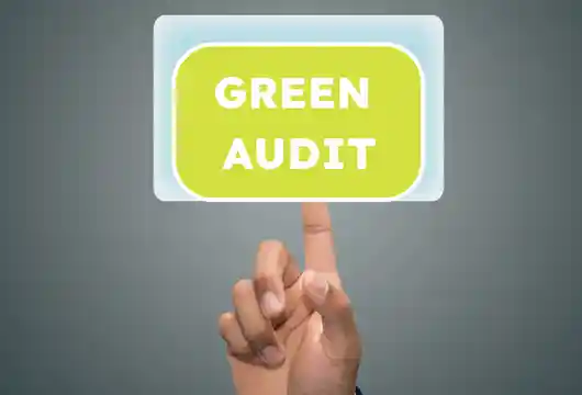 Now on the anvil_ Green auditors