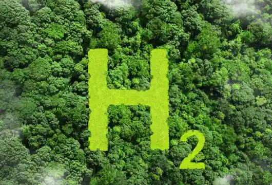 ndia's Green Hydrogen Revolution Is A Leap Towards Carbon Neutrality