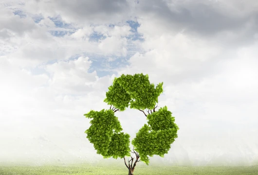 Recycling