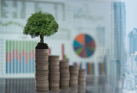 Sustainable Finance