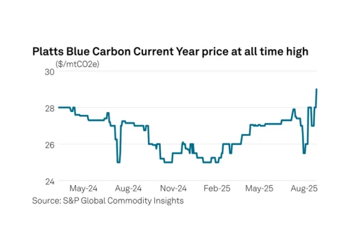 Carbon Credits