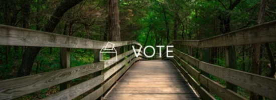 Vote